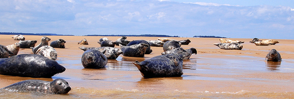 Blakeney