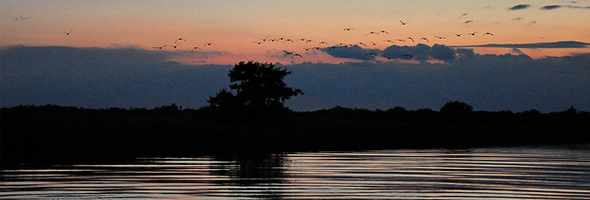 Trinity Broads