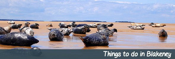 Things-to-do-in-Blakeney